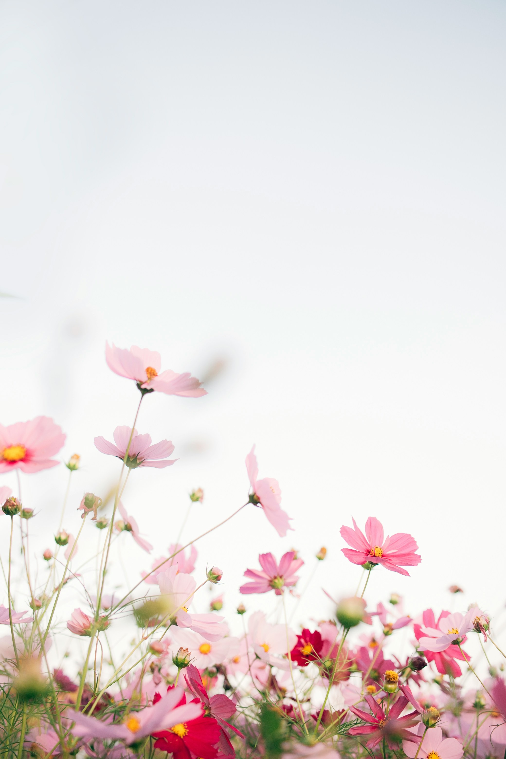 EMDR Therapy