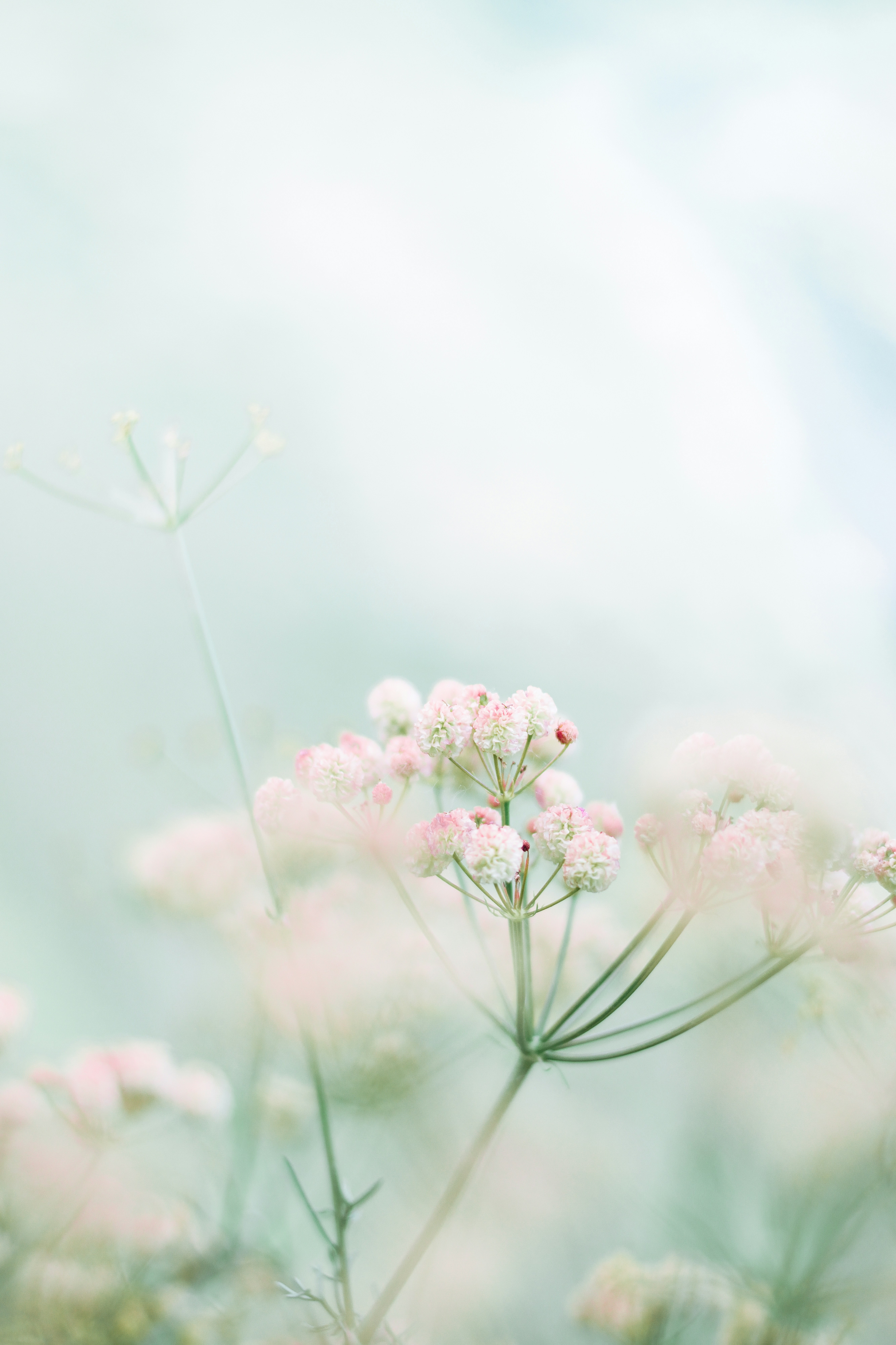 Somatic Therapy